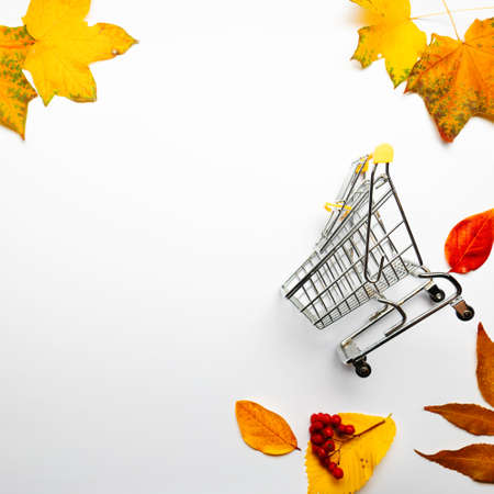 Autumn discounts on sales. Yellow leaves and shopping cart, layout on white, top viewの写真素材