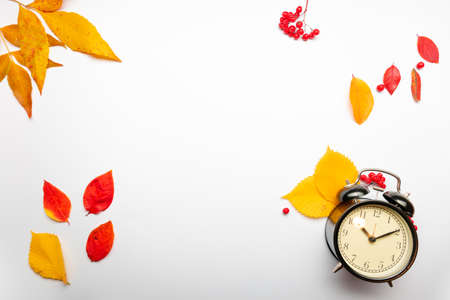 Yellow autumn leaves and an alarm clock on a white background, thematic layout, autumn, its time to learnの写真素材