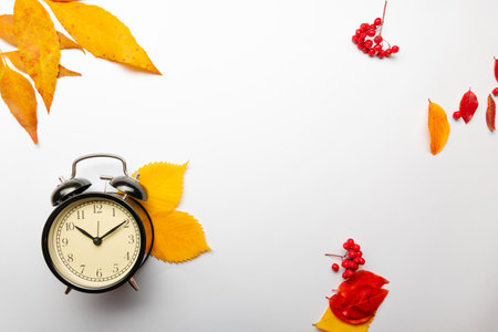 Yellow autumn leaves and an alarm clock on a white background, thematic layout, biorhythms during the change of seasons, healthy sleep and vigorous recovery.の写真素材