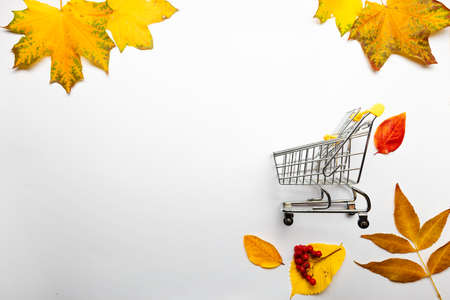 Autumn sale, discounts on seasonal goods, concept. Yellow leaves and shopping cart, layout on white, top viewの写真素材