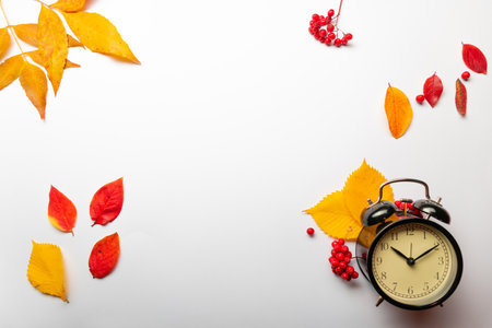Yellow autumn leaves and an alarm clock on a white background, thematic layout, autumn offers in stores, hurry upの写真素材