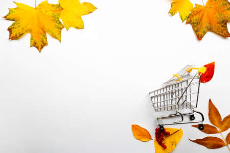Autumn discounts on sales. Yellow leaves and shopping cart, layout on white, top viewの写真素材