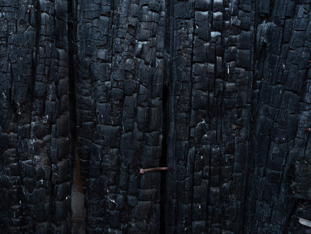 Texture of burnt wood, close-up, burnt boards, house fireの写真素材