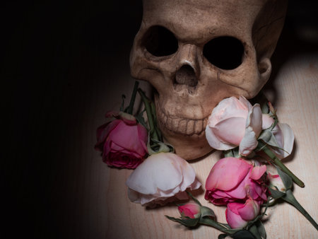 Human skull and beautiful pink roses, Gothic style, dark romance. halloween backgroundの写真素材