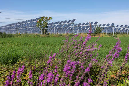 Agrivoltaics or agrophotovoltaics is co-developing the same area of land for both solar photovoltaic power as well as for agriculture.の写真素材