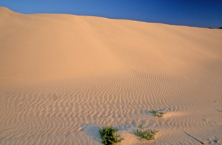 It takes only half an hour to get to Delisha beach from Hadiboh. Tourists usually come here directly from the airport to have a swim and to walk along a big sand-dune.の写真素材
