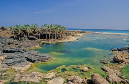 Hadibu, also known as Hadiboh, formerly known as Tamrida is a coastal town in northern Socotra, Yemen.の写真素材