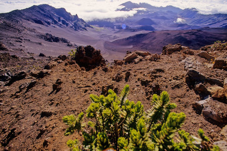HaleakalÄ National Park is an American national park located on the island of Maui in the state of Hawaii.の写真素材