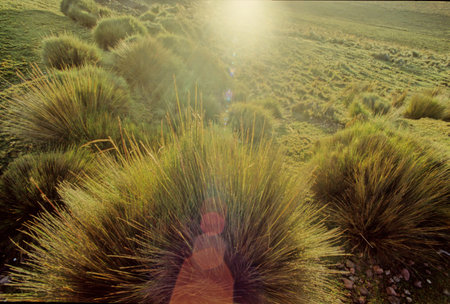 Chimborazo pronunciation is a stratovolcano situated in Ecuador in the Cordillera Occidental range of the Andes.の写真素材