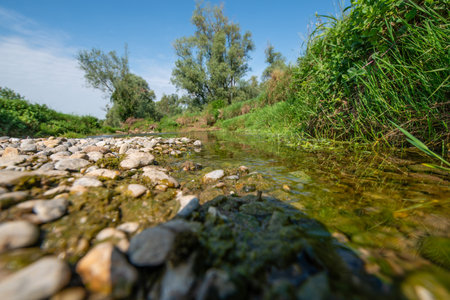 The Serio (Lombard: SÃ¨re is an Italian river that flows entirely within Lombardy, crossing the...