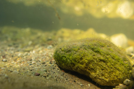 The Adda is a river in Northern Italy, a tributary of the Po.の写真素材