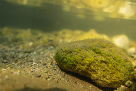 The Adda is a river in Northern Italy, a tributary of the Po.の写真素材
