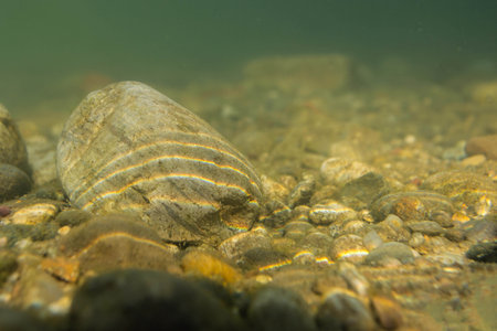 The Adda is a river in Northern Italy, a tributary of the Po.の写真素材