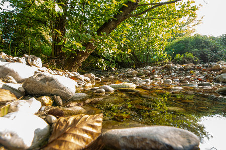 The Adda Nord Park is a protected natural area that includes the lowland territories crossed by the Adda River, downstream from the Lecco branch of the Lario.の写真素材