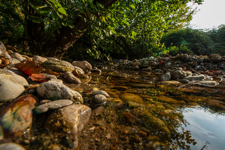 The Adda Nord Park is a protected natural area that includes the lowland territories crossed by the Adda River, downstream from the Lecco branch of the Lario.の写真素材