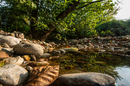 The Adda Nord Park is a protected natural area that includes the lowland territories crossed by the Adda River, downstream from the Lecco branch of the Lario.の写真素材