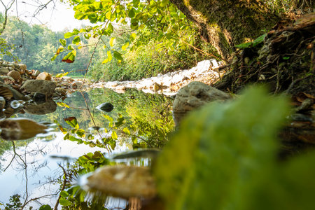 The Adda Nord Park is a protected natural area that includes the lowland territories crossed by the...