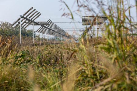 Agrivoltaics (also called agrophotovoltaics, agrisolar, or dual-use solar) is the dual use of land for solar energy and agriculture.の写真素材