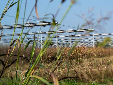 Agrivoltaics (also called agrophotovoltaics, agrisolar, or dual-use solar) is the dual use of land for solar energy and agriculture.の写真素材