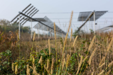 Agrivoltaics (also called agrophotovoltaics, agrisolar, or dual-use solar) is the dual use of land...
