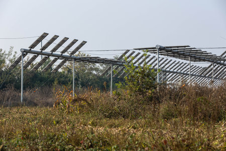 Agrivoltaics (also called agrophotovoltaics, agrisolar, or dual-use solar) is the dual use of land for solar energy and agriculture.の写真素材