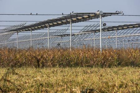 Agrivoltaics (also called agrophotovoltaics, agrisolar, or dual-use solar) is the dual use of land...