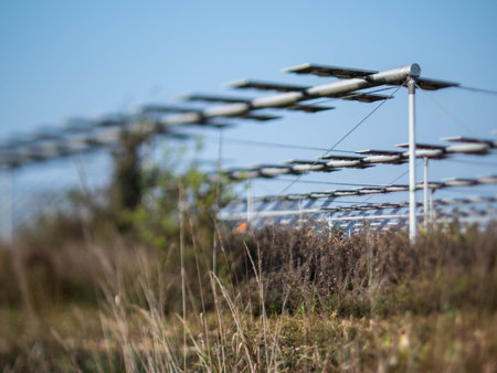 Agrivoltaics (also called agrophotovoltaics, agrisolar, or dual-use solar) is the dual use of land for solar energy and agriculture.の写真素材