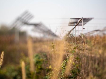 Agrivoltaics (also called agrophotovoltaics, agrisolar, or dual-use solar) is the dual use of land...