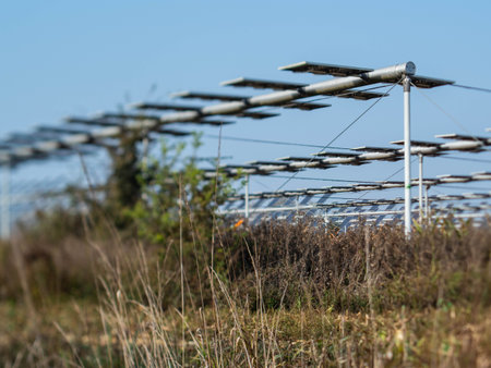 Agrivoltaics (also called agrophotovoltaics, agrisolar, or dual-use solar) is the dual use of land for solar energy and agriculture.の写真素材