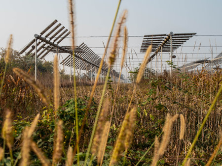 Agrivoltaics (also called agrophotovoltaics, agrisolar, or dual-use solar) is the dual use of land for solar energy and agriculture.の写真素材