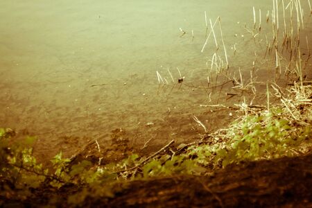 along the waterの写真素材