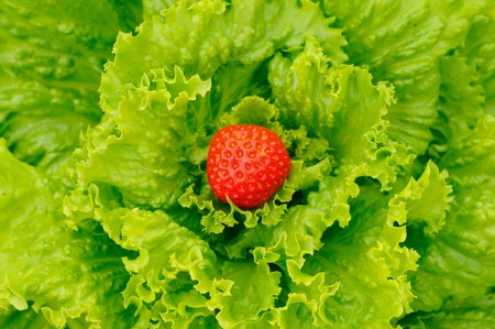 Salad and strawberry - nature backgroundの写真素材