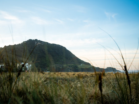 Mount Maunganui mauoa at sunset from pilot bay and mount drury taurangaの写真素材