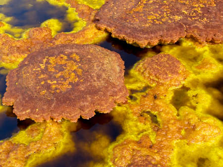 Closeup of colorful sulphur rock ponds in Danakil Depression, Ethiopia.