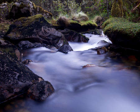 Slow-motion time-lapse of blurry running water landscape river and green rainforest along Santa Cruz...