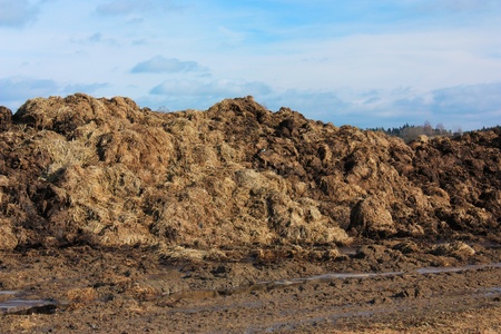 Manure farmland, agriculture