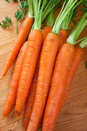 Brunch of fresh carott with roots, healthy and full of vitaminsの写真素材