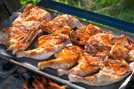 Chicken with honey and spices, cooking on a wood fireの写真素材