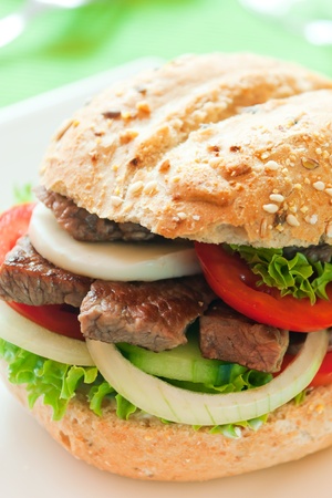 Fresh and healthy sandwich with vegetables and beef slicedの写真素材