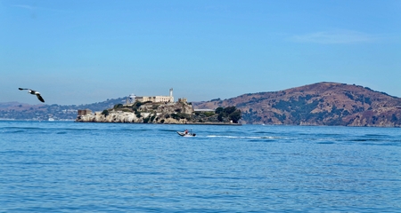 View of Alcatraz from Fisherman's Wharfの写真素材