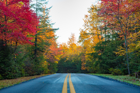A two lane road through Blackwater Falls State Park during autumnの写真素材