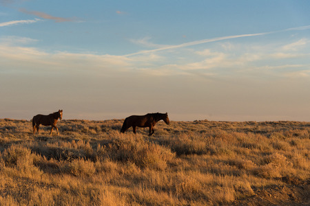 Scenic Byway in Wyoming at sunsetの写真素材