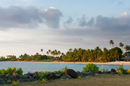 Palm tree lined beach on Fiji at dawn