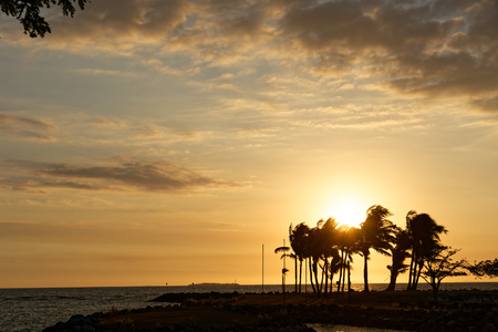Sun setting over the ocean in the Pacificの写真素材