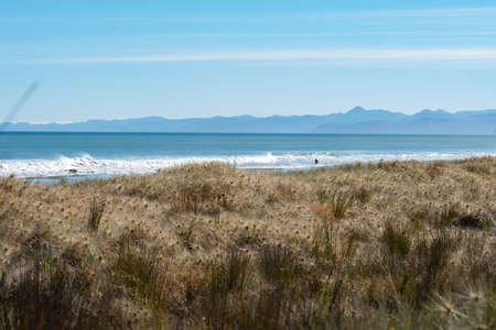 A sunny day on an east coast beach in the North Island of New Zealandの写真素材