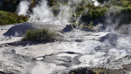 Mud pools in the geothermal tourist town of Rotorua, New Zealand