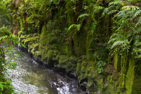 Te Whaiti nui a toi Canyon, an Ignimbrite canyon in Whirinaki Conservation Park