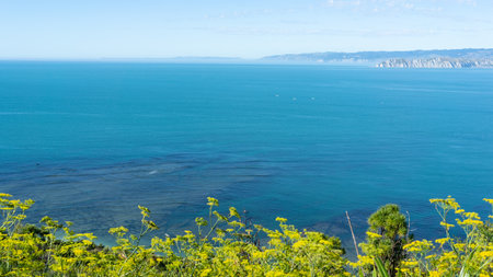 View of Poverty Bay near the town of Gisborne, East Coast, New Zealandの写真素材