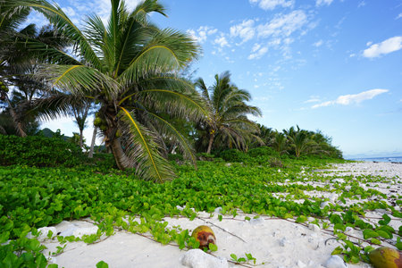 A beach on the upper East Coast of Rarotonga (Tupapa Tapere)