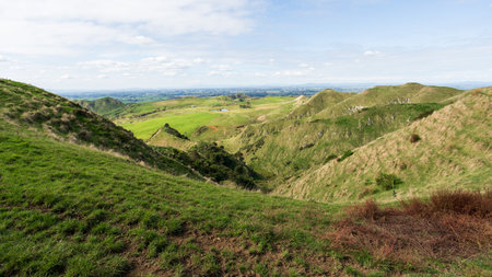 Typical rural scene near Hamilton in Waikato, North Island, New Zealand